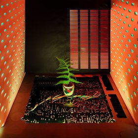 The Trees Are Burning