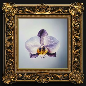 CXNTIQUE DES CXNTIQUES