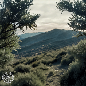 The Greatest Prayer - John 17 (Instrumental)