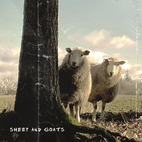 Sheep and Goats
