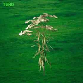 Tend (Live)