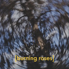 burning roses