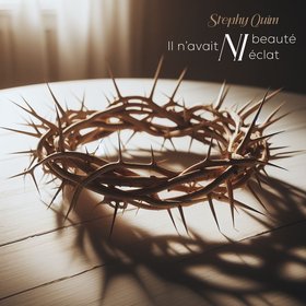 Il n'avait ni beauté, ni éclat