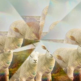 The One Who Saves (Live)