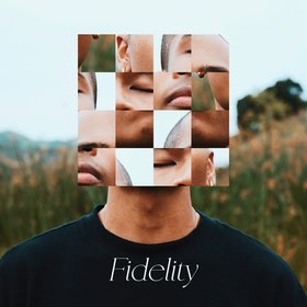 Fidelity