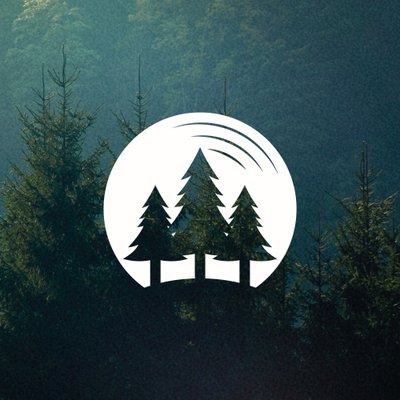 Through The Trees