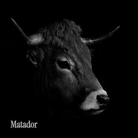 Matador