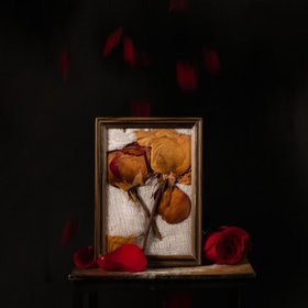 We Won’t Let You Leave