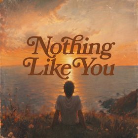 Nothing Like You