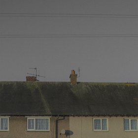 Trees and Grass and Flowers