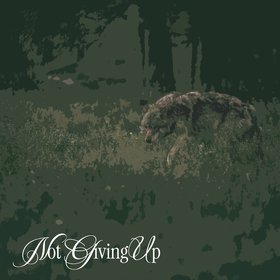 Not Giving Up