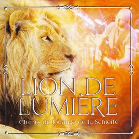 Lion de Lumière