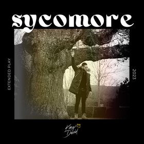 Sycomore