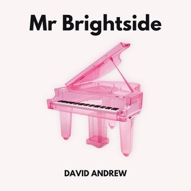 Mr Brightside (Piano Version - Instrumental)