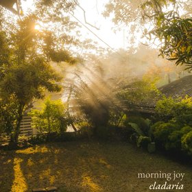 Morning Joy