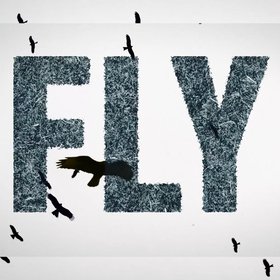 Fly