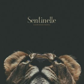 Sentinelle