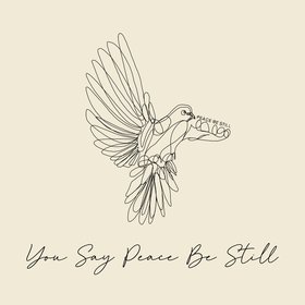 You Say Peace Be Still (Live)