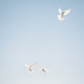 Let Everything That Has Breath (Live)