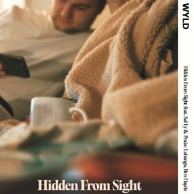 Hidden From Sight