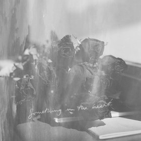 Something In The Heart