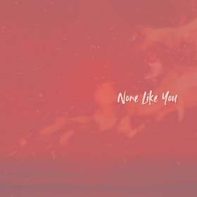 None Like You