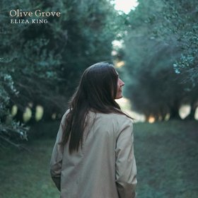 Olive Grove