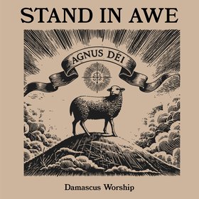 Stand In Awe (Live)