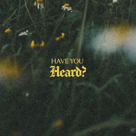 Have You Heard? (Live)