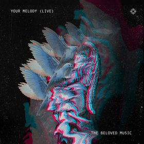 Your Melody (Live)