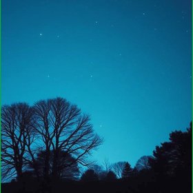 Where the Quiet Lives