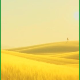 Heaven in the Fields