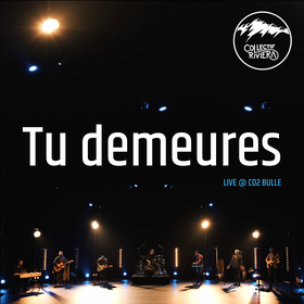 Tu demeures (Live @ CO2 Bulle)